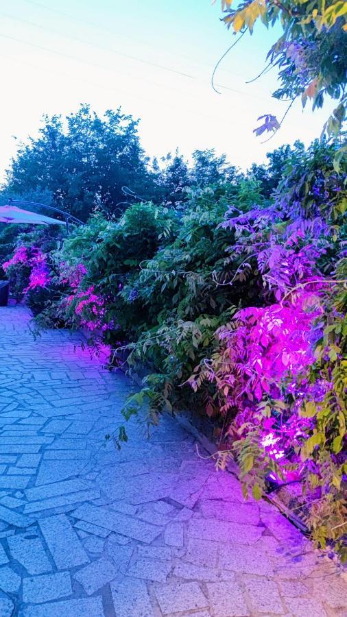 Residenza Bertolini Daire Fosdinovo Dış mekan fotoğraf