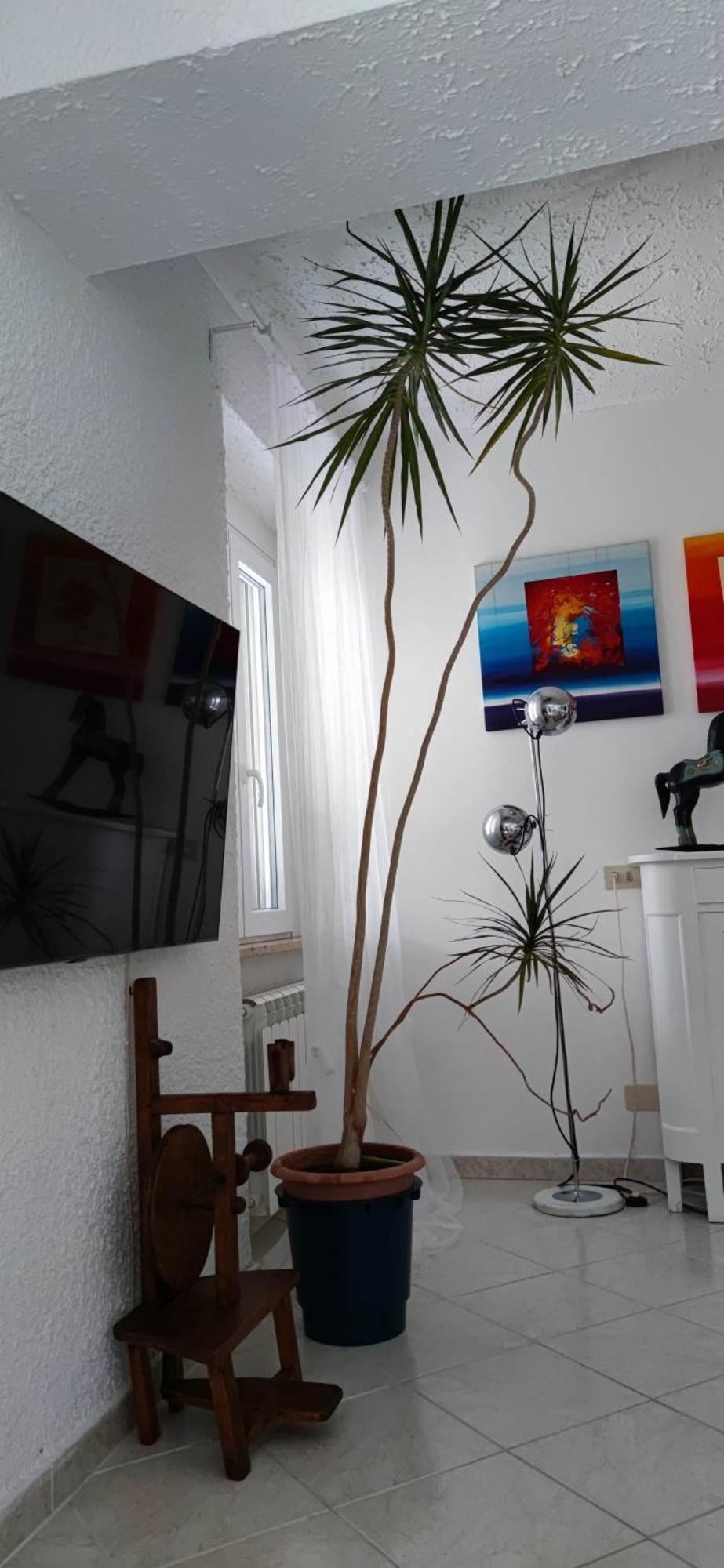 Residenza Bertolini Daire Fosdinovo Dış mekan fotoğraf