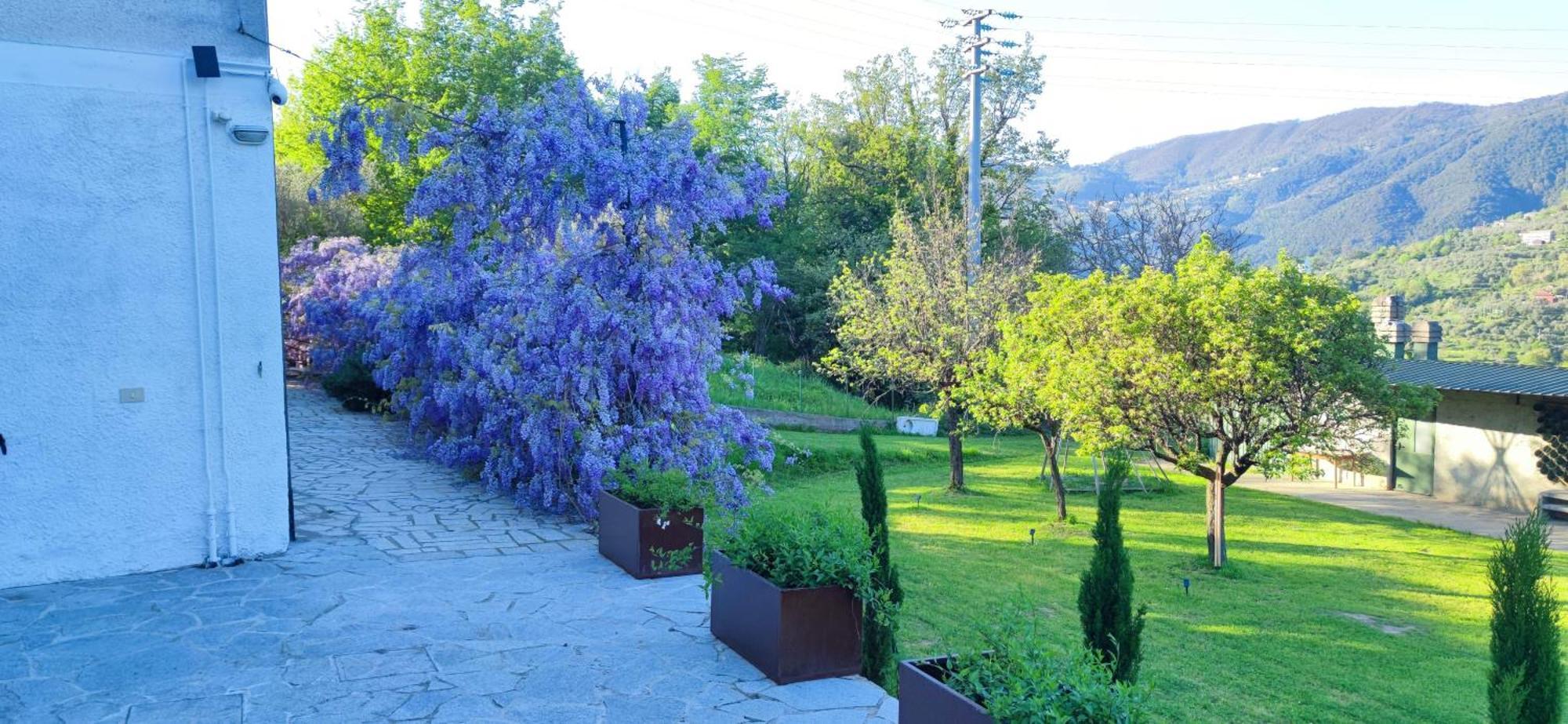 Residenza Bertolini Daire Fosdinovo Dış mekan fotoğraf